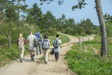 back-view-young-friends-with-backpacks-walking-forest-enjoying-good-summer-day-min